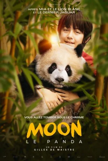 Моя панда (2025) онлайн бесплатно